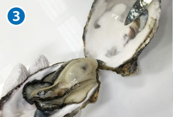 牡蠣開き方03